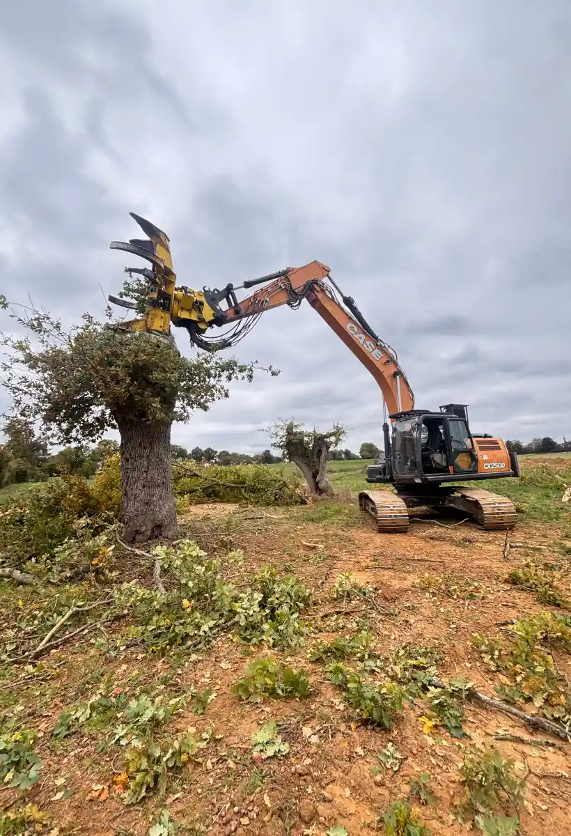 Leblond Tp Entreprise De Terrassement Maine Et Loire ELAGAGE 3